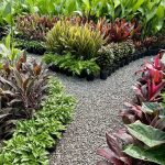 10 Native Plant Options For Residential Landscaping in Perth